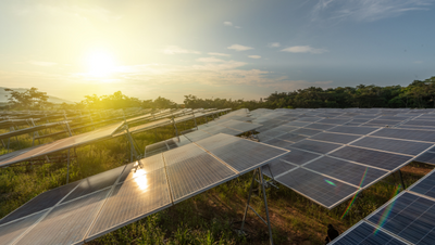 Solar Field Construction » Babcock & Wilcox